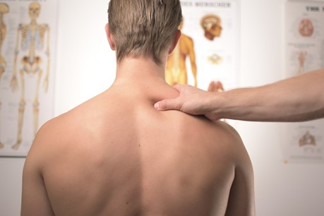 Back or Neck Pain? What Different Types of Pain Mean - Rehability Physical  Therapy