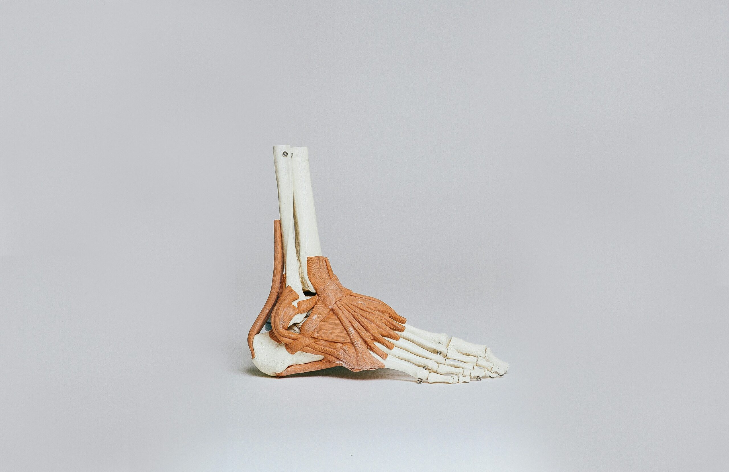 Ankle Physical Therapy Ammon, Idaho