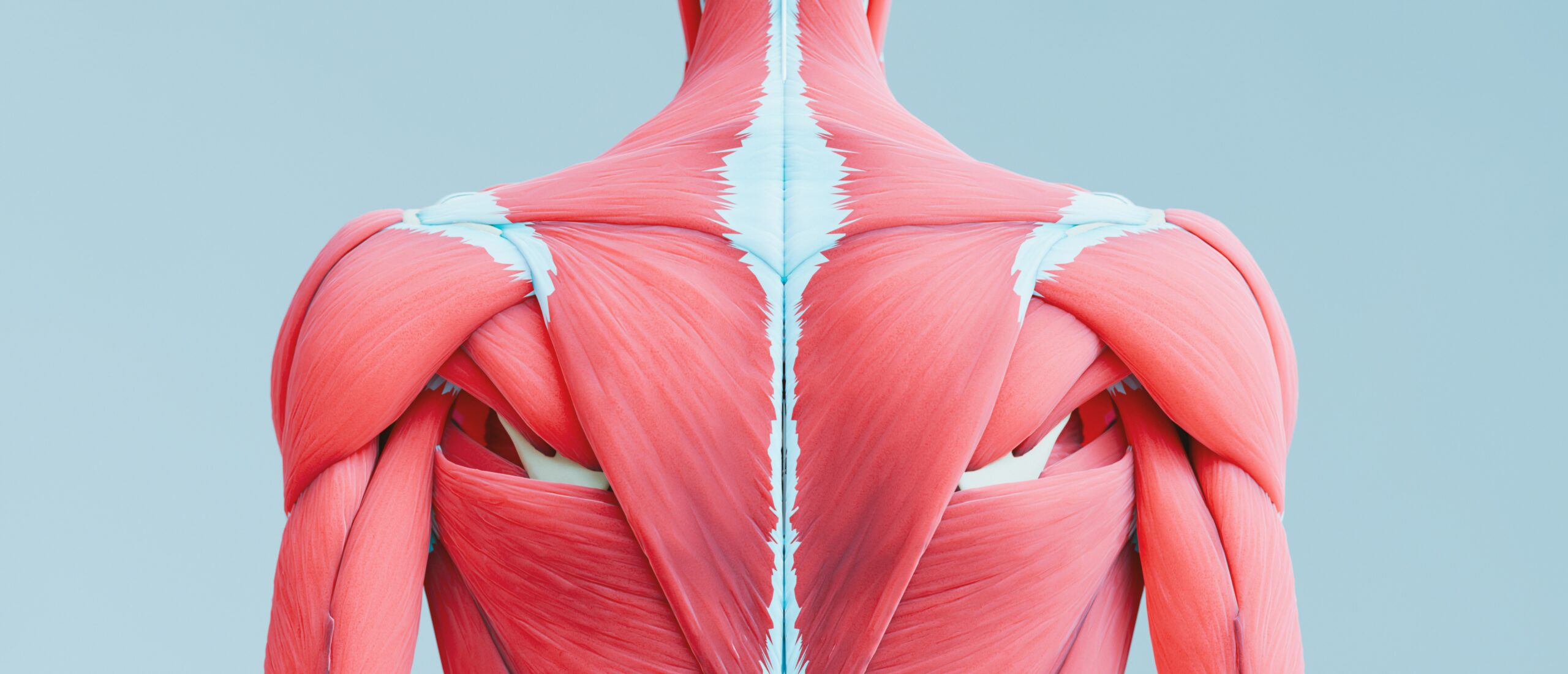 rotator cuff surgery physical therapy rexburg pick pt