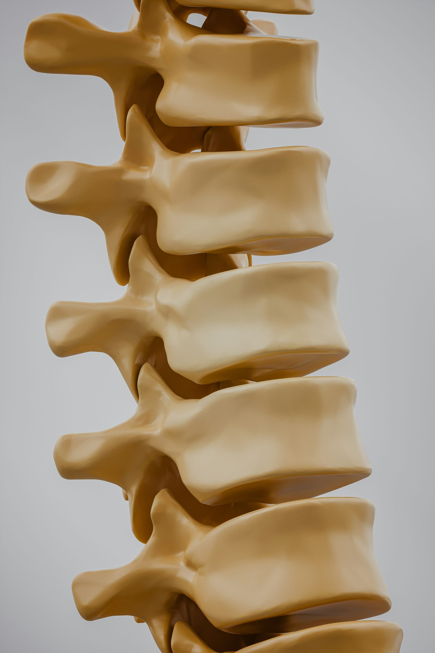 lower back pain physical therapy pick pt